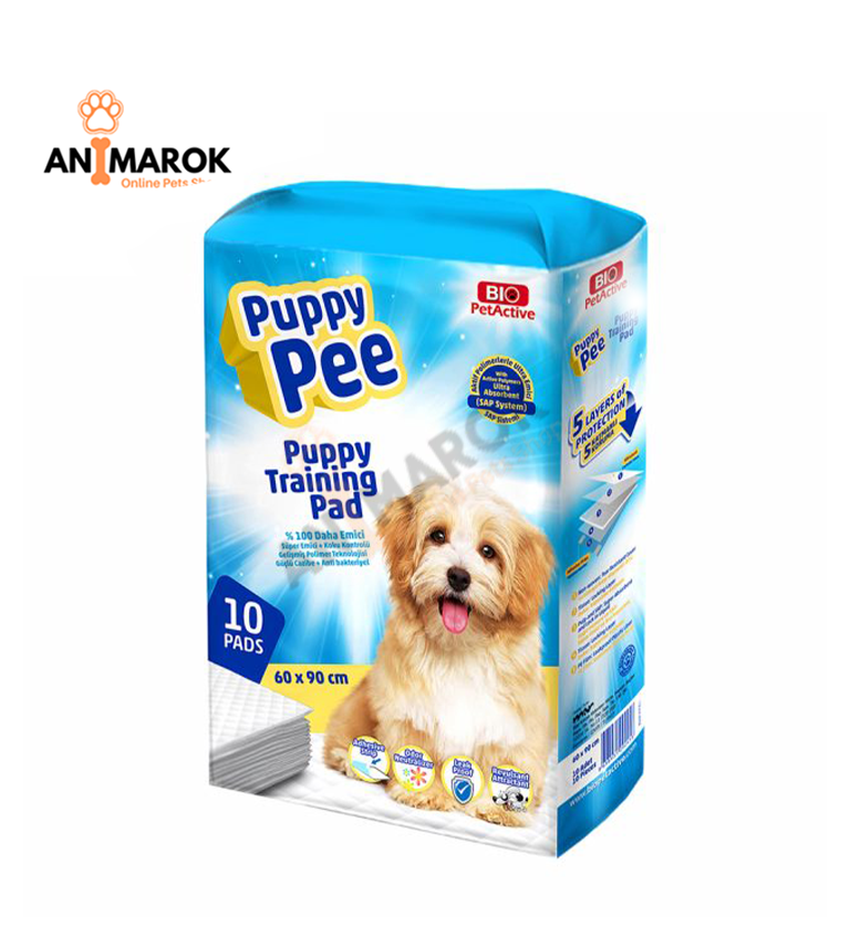 Tapis Pipi Ultra Absorbant Bio PetActive pour Chien