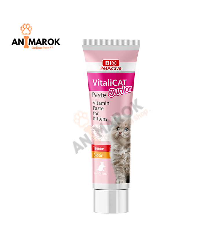 VitaliCat Paste Junior