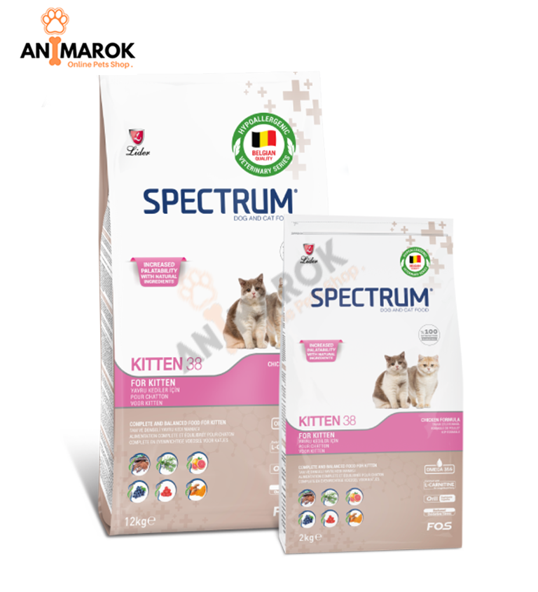 SPECTRUM KITTEN 38