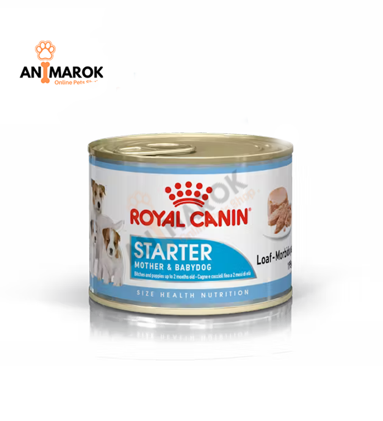 Royal Canin Starter Mousse Mother & Babydog